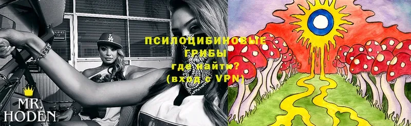 Псилоцибиновые грибы Magic Shrooms  Данилов 